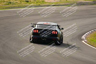 media/Feb-25-2024-Speed Ventures (Sun) [[b9a2a97a4d]]/Mustang Drivers Club/Session 1 (Turns 4 and 5)/